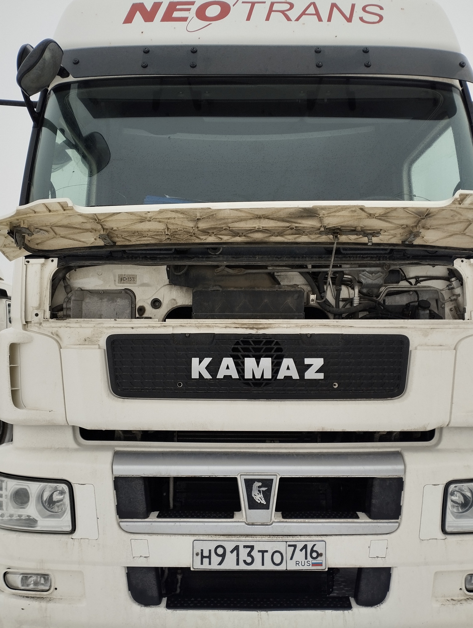 Седельный тягач КАМАЗ 5490-801-DC (газодизель) 2021 г. - фото 2