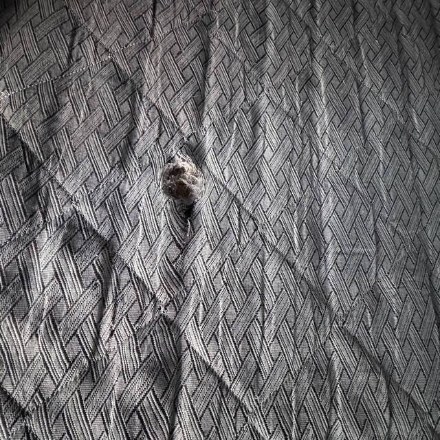 Седельный тягач КАМАЗ 5490-801-DC (газодизель) 2021 г. - фото 42