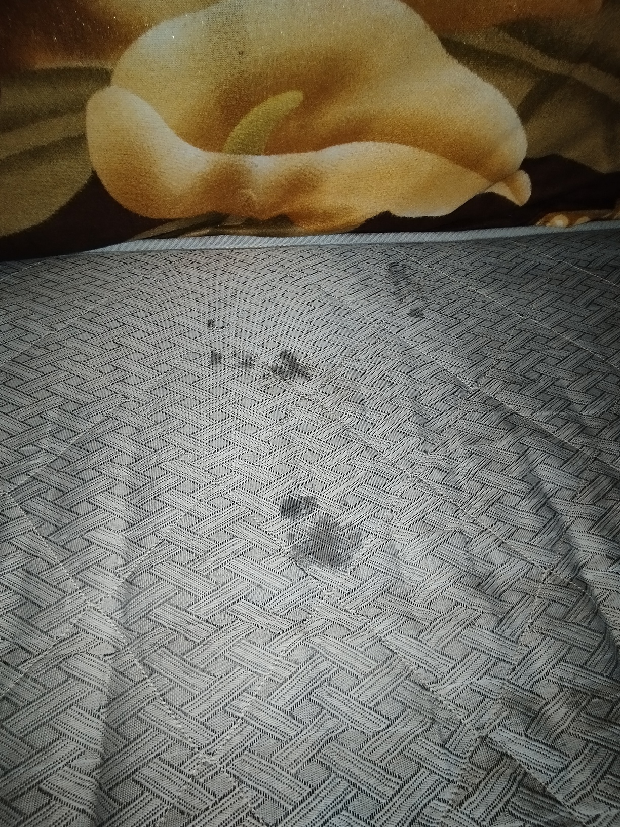 Седельный тягач КАМАЗ 5490-801-DC (газодизель) 2021 г. - фото 61