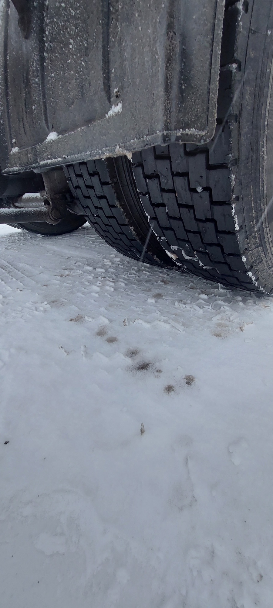 Седельный тягач КАМАЗ 5490-801-DC (газодизель) 2021 г. - фото 27