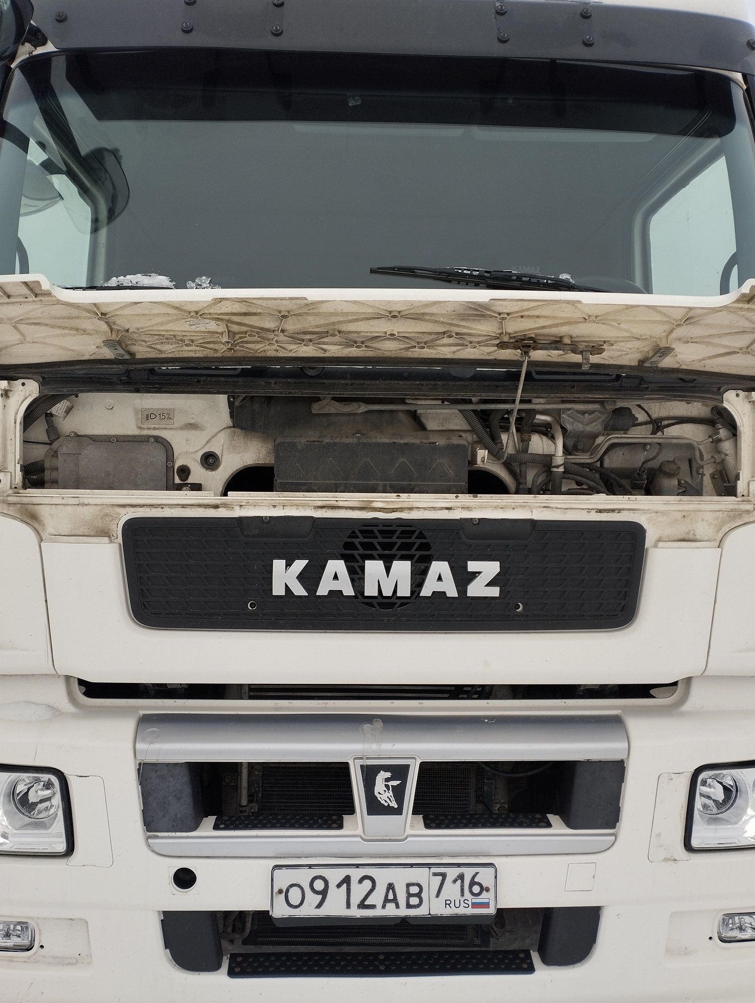 Седельный тягач КАМАЗ 5490-801-DC (газодизель) 2021 г. - фото 2