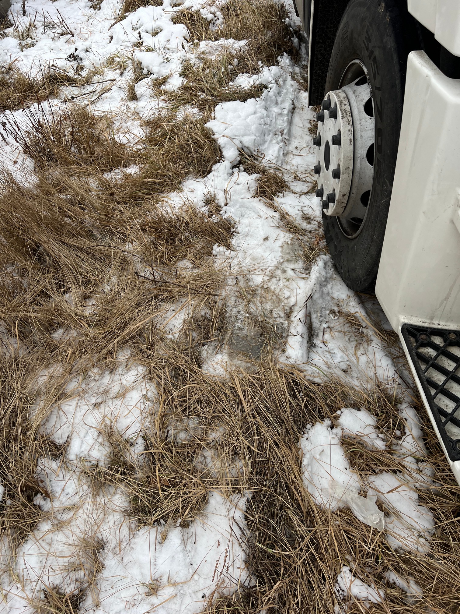 Седельный тягач КАМАЗ 5490-033-87 (S5) 2021 г. - фото 13