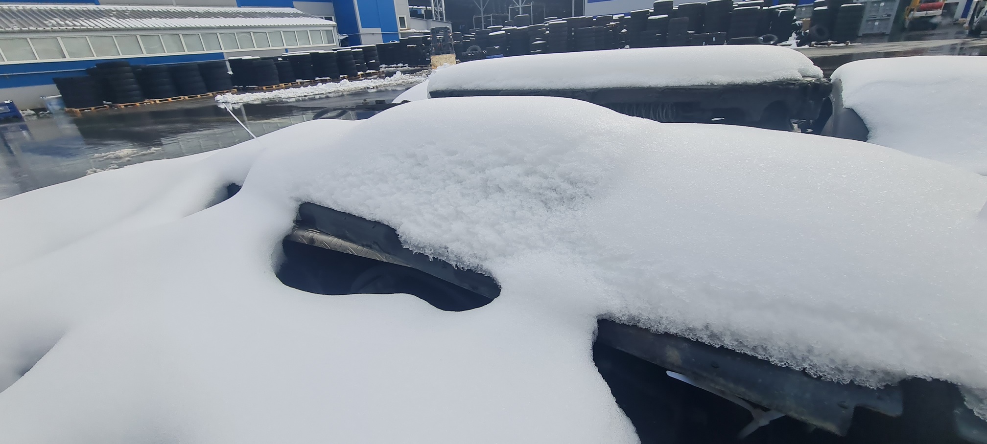 Седельный тягач КАМАЗ 54901-014-94 2022 г. - фото 43