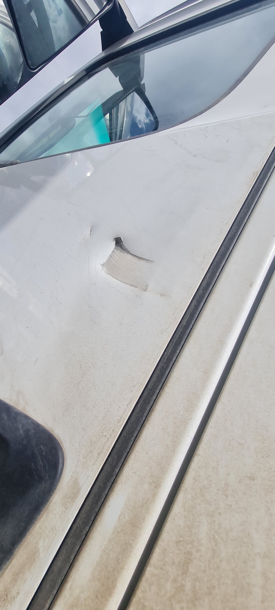 Седельный тягач КАМАЗ 54901-70014-СА 2023 г. - фото 34