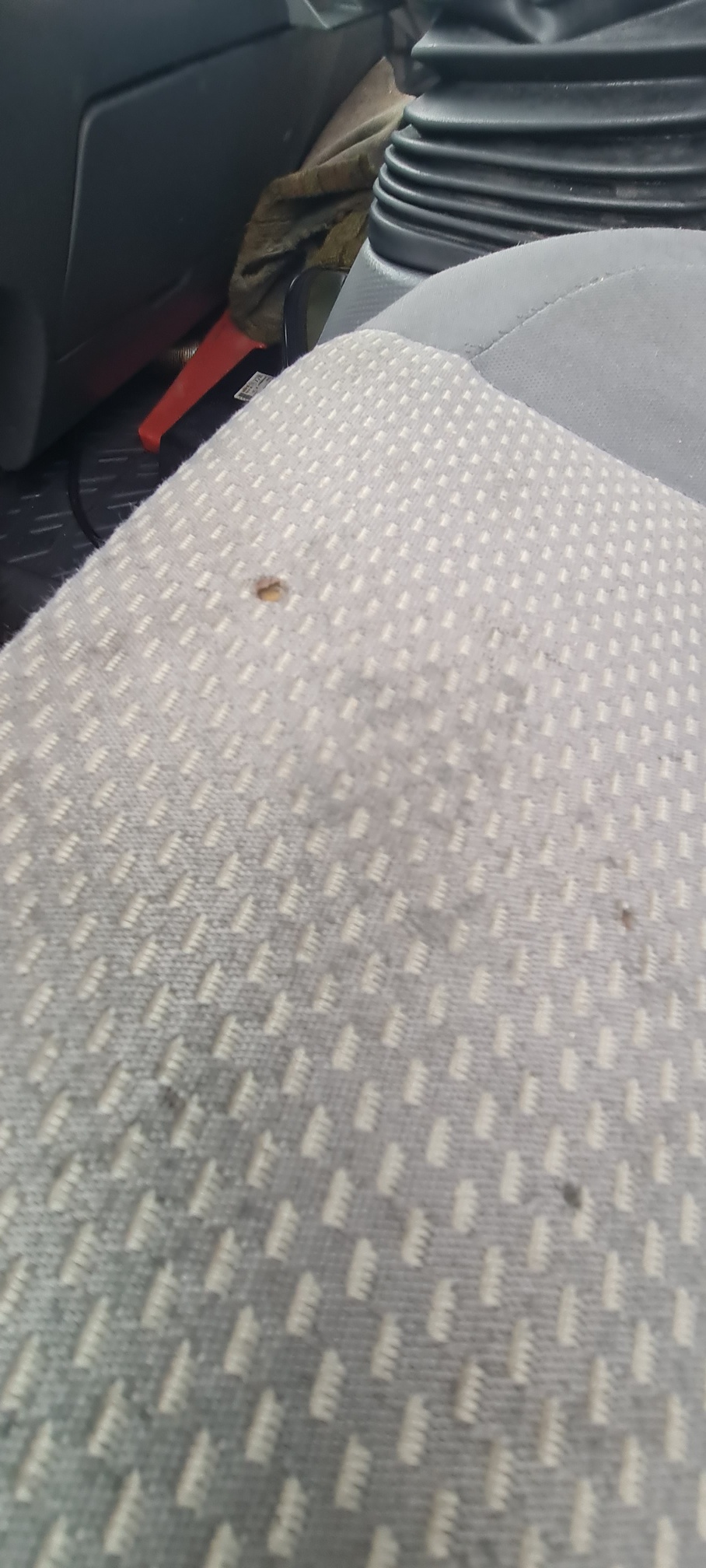 Компас 9 (а/м 47211С с бортов.платформой на ш.КАМАЗ 43089) 2023 г. - фото 36