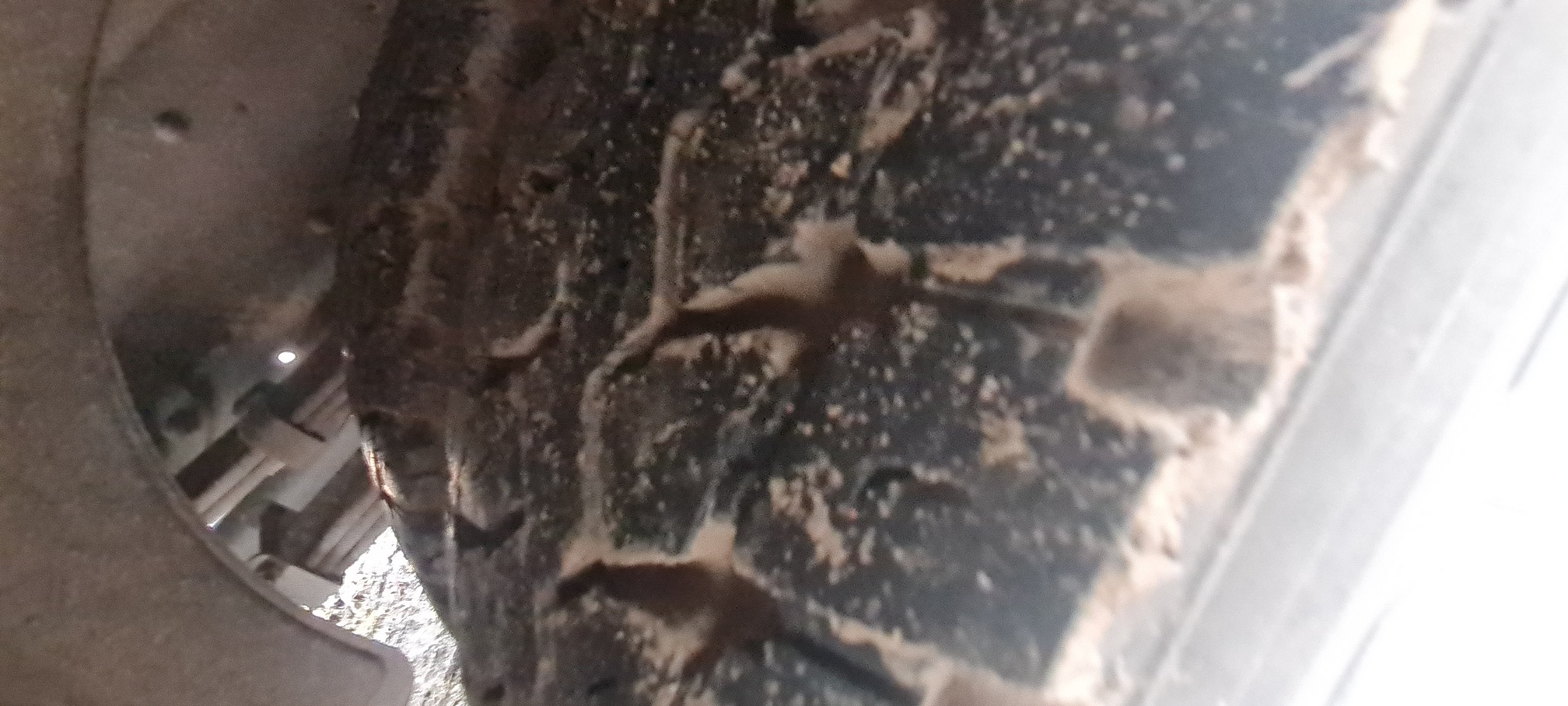 Компас 9 (а/м 4389 на ш КАМАЗ 43089-44511-F5) 2023 г. - фото 44