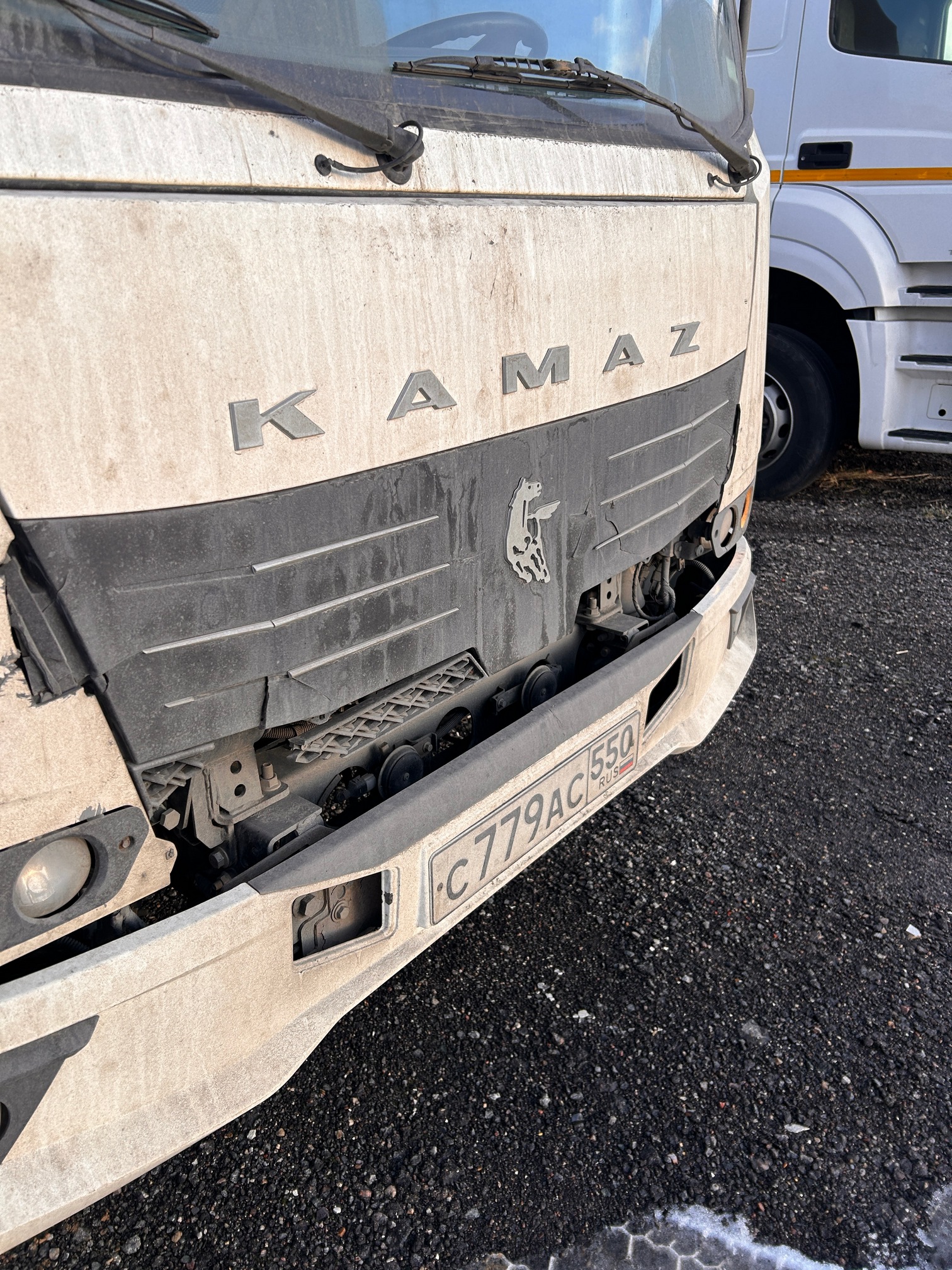 Компас 12 (шторно-борт. РУСТРАК 4389A1 на ш.КАМАЗ 43082) 2024 г. - фото 6