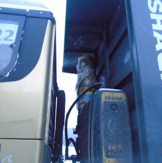 Shacman (Shaanxi) SX* 8x4 Самосвал